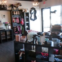 The Spa Pet Spa